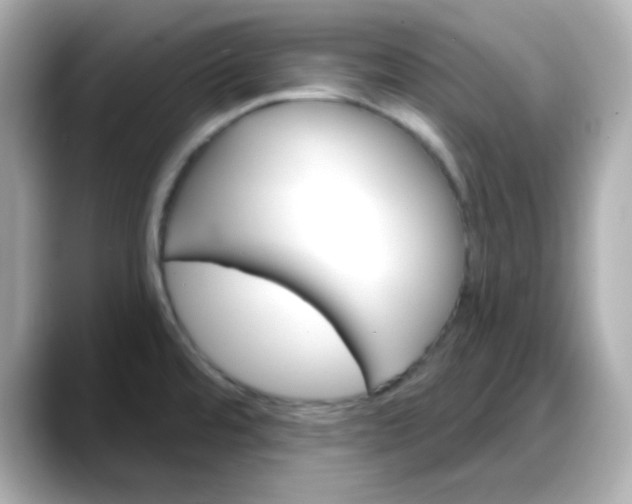 X0000088381480200706051050
