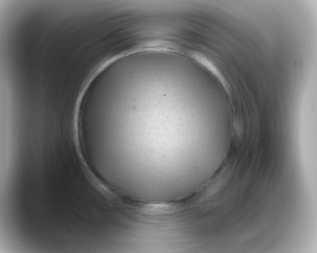 X0000088381482200706051050