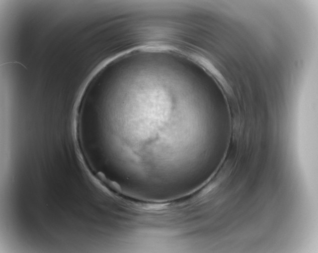 X0000088381484200706051050
