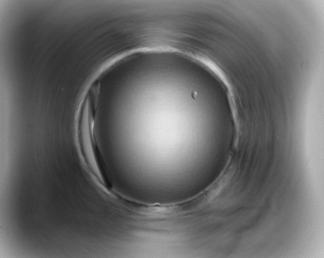 X0000088381485200706051050