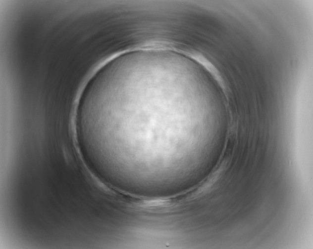 X0000088381486200706051050