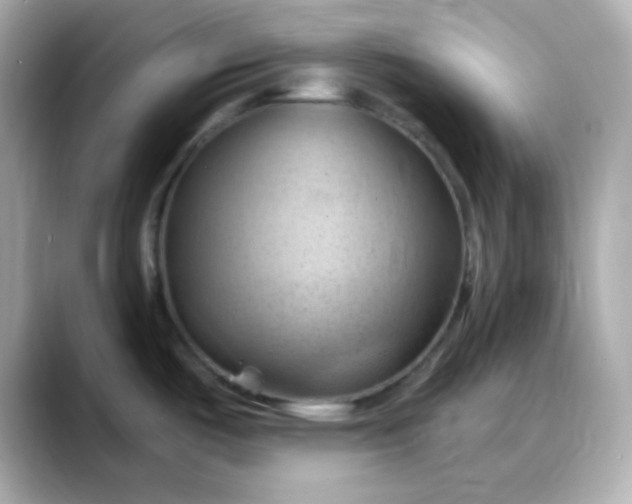 X0000088381487200706051050