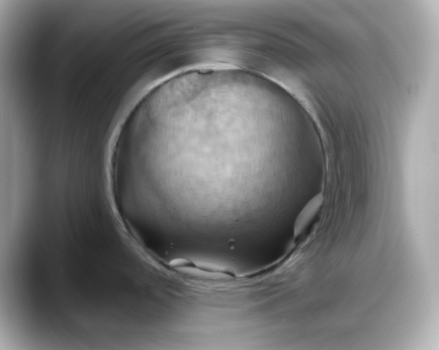 X0000088381488200706051050