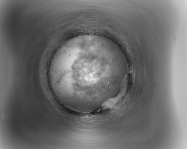 X0000088381489200706051050