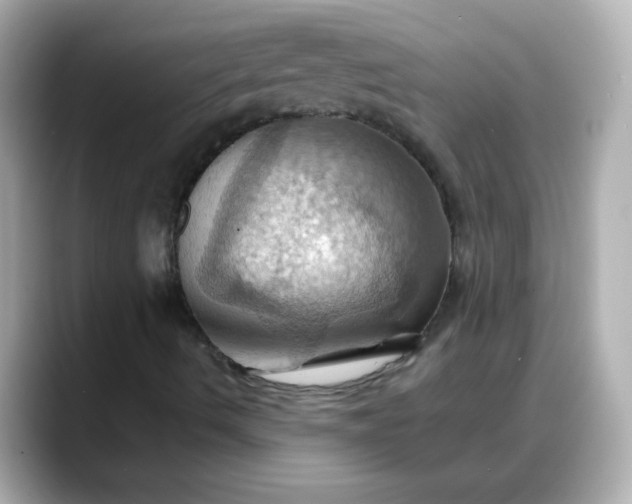 X0000088381490200706051050