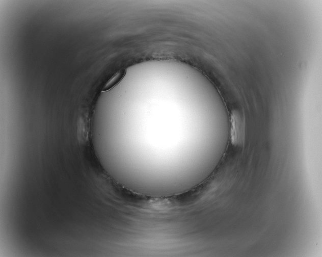 X0000088381491200706051050