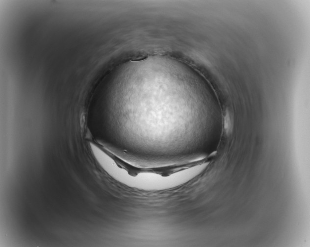 X0000088381492200706051050