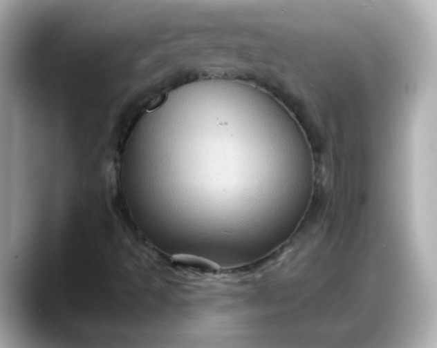 X0000088381493200706051050