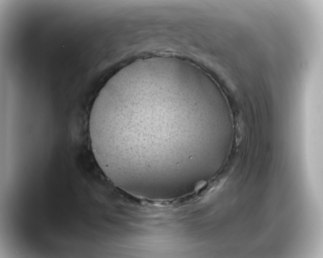 X0000088381494200706051050