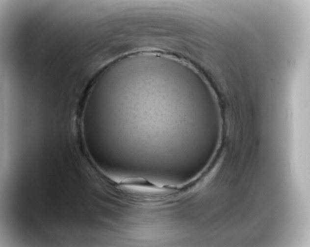 X0000088381497200706051050