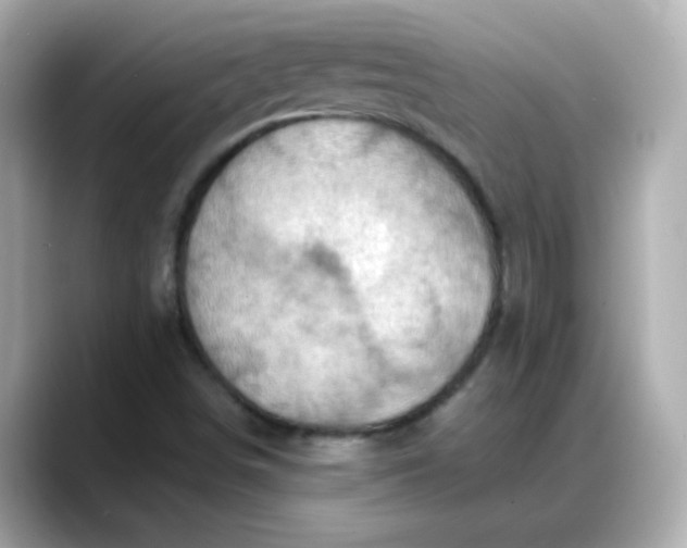 X0000088381498200706051050
