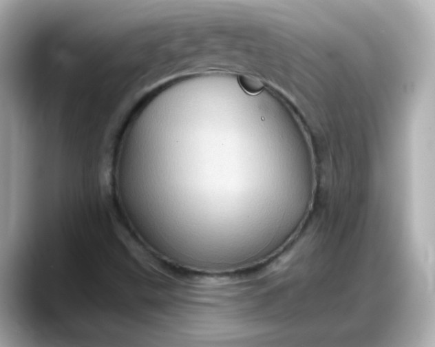 X0000088381499200706051050