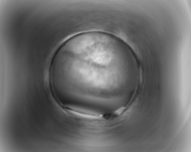 X0000088381500200706051050
