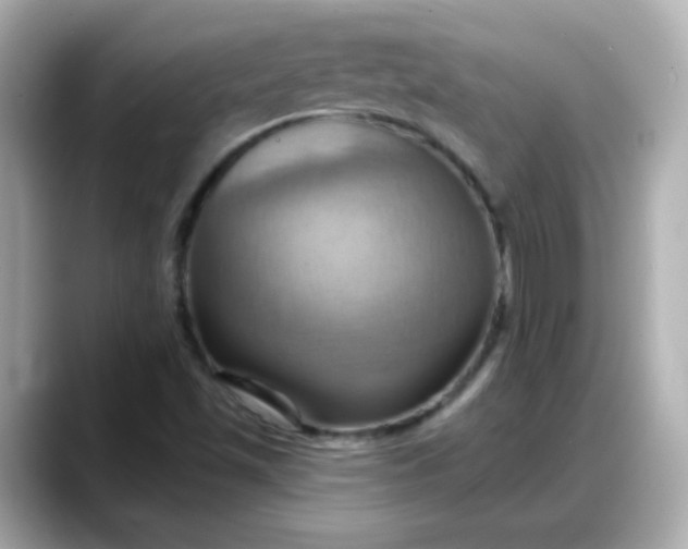 X0000088381501200706051050