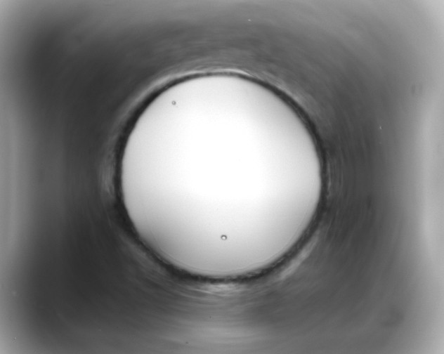 X0000088381502200706051050