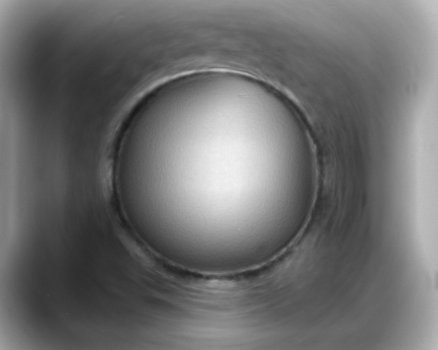 X0000088381503200706051050