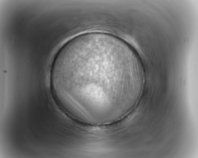 X0000088381504200706051050