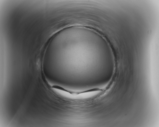 X0000088381505200706051050