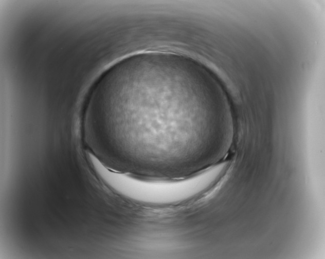 X0000088381506200706051050