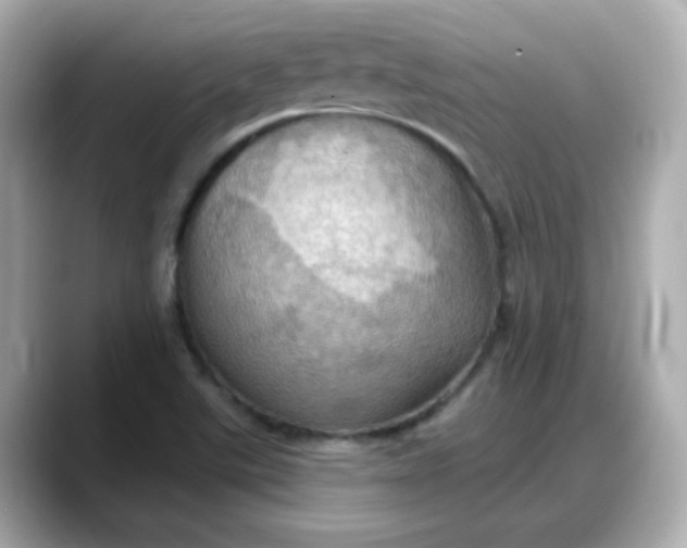 X0000088381507200706051050