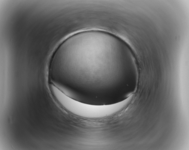 X0000088381508200706051050