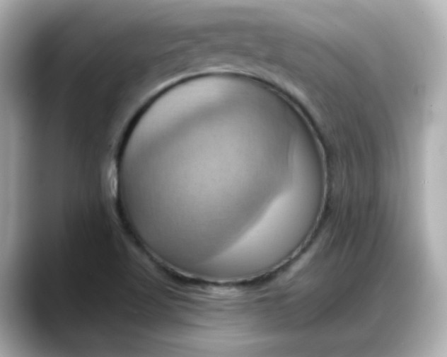 X0000088381509200706051050