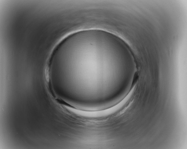 X0000088381510200706051050