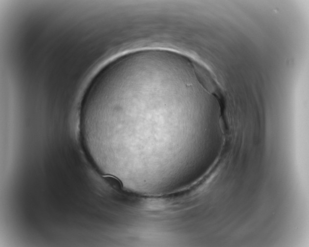 X0000088381511200706051050