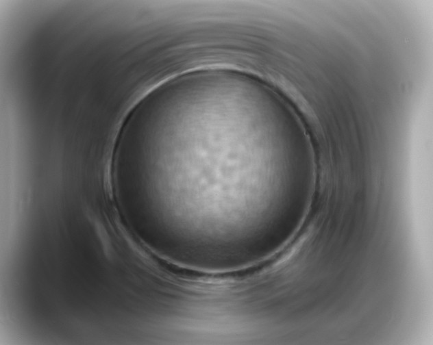 X0000088381513200706051050