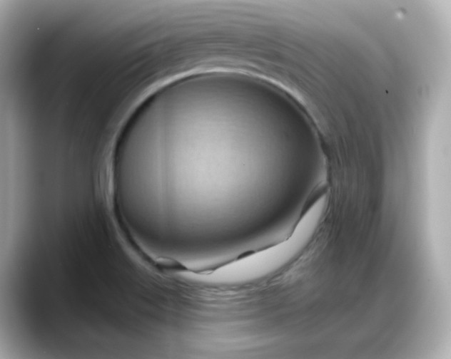 X0000088381515200706051050