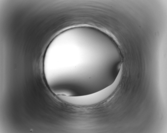 X0000088381516200706051050