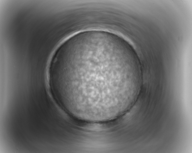 X0000088381517200706051050