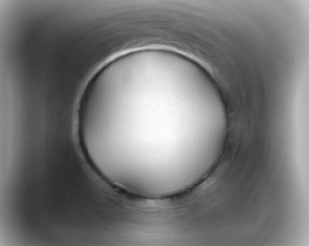 X0000088381518200706051050