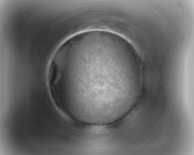 X0000088381519200706051050