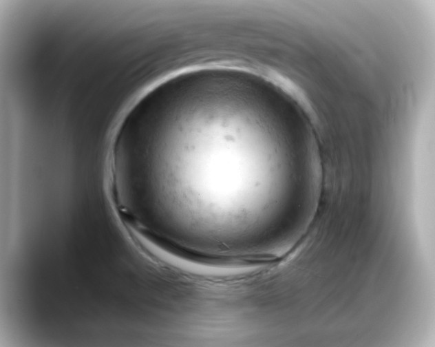 X0000088381520200706051050