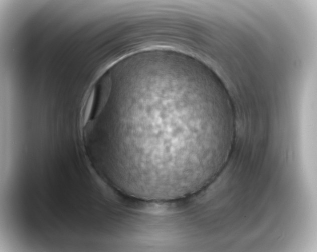 X0000088381521200706051050