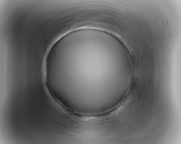 X0000088381522200706051050