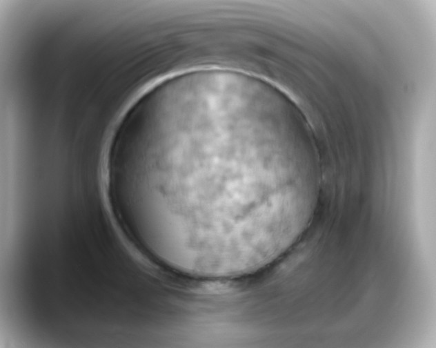 X0000088381523200706051050