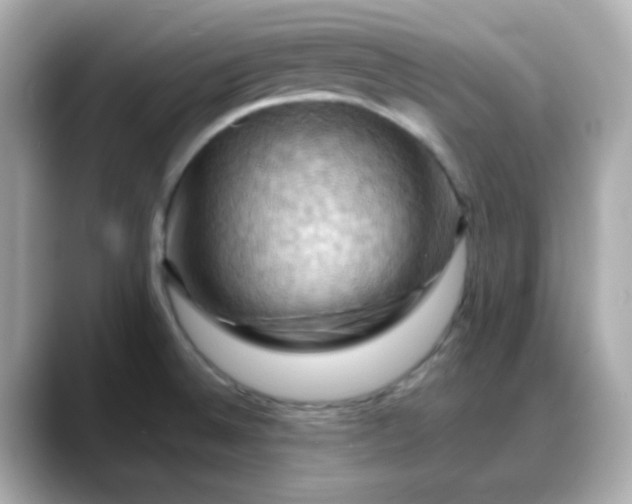 X0000088381524200706051050