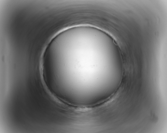 X0000088381526200706051050