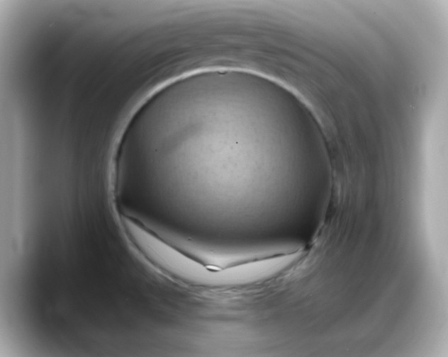 X0000088381527200706051050