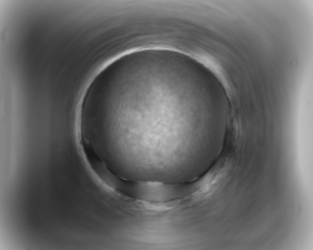 X0000088381528200706051050