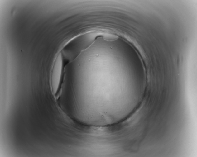X0000088381529200706051050