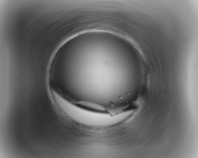 X0000088381530200706051050