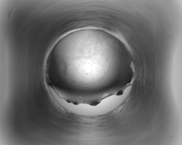 X0000088381532200706051050