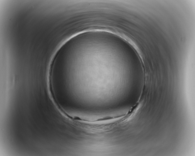 X0000088381533200706051050