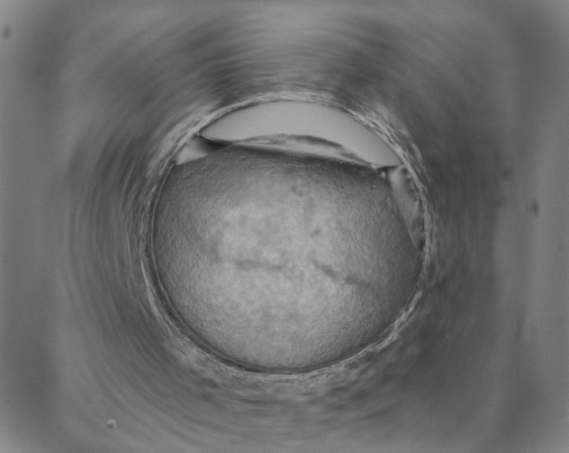 X0000088380001200706121156