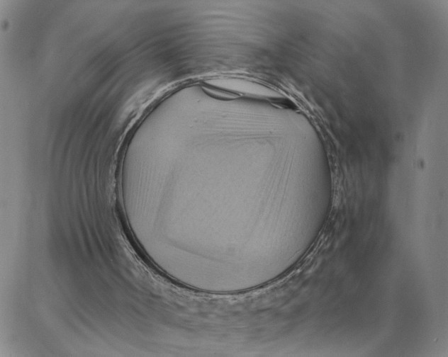 X0000088380002200706121156