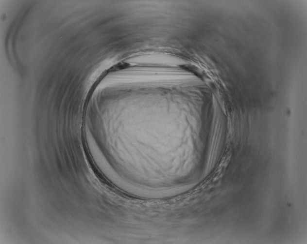 X0000088380003200706121156