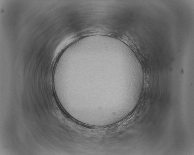 X0000088380004200706121156